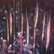 Old Flame | New Squeeze