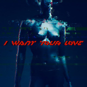 I Want Your Love