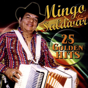 Mingo Saldivar - 25 Golden Hits