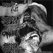 Sociopathological Society