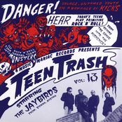 Teen Trash Vol. 13