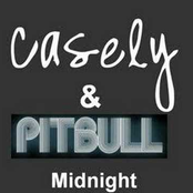 pitbull feat. casely - midnight