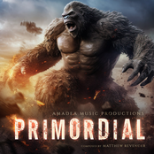 Primordial