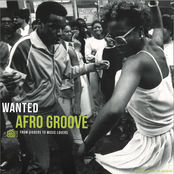 Wanted Afro Groove: From Diggers to Music Lovers