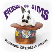 Chris Layton: Friends of Sims
