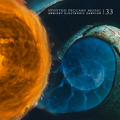 33 - free ambient electronic sampler