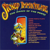 Stoned Immaculate - The Music of The Doors