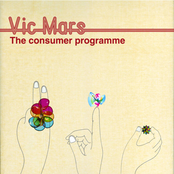 The Consumer Programme