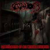 Goryfication Of All Mental Deseases And The Avoid Of Rationality Through The Rancid Dismemberment by Cercenatory