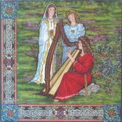 Tapestry I- Ladies
