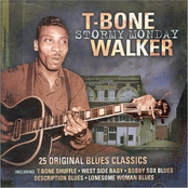 All Night Long by T-bone Walker