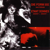 Bacterium / Aimant + Aimant