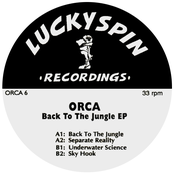 Back To The Jungle by Orca