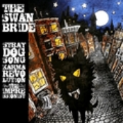 Stray Dog Song (promo)