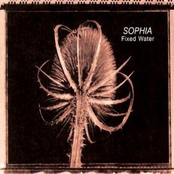 So Slow by Sophia