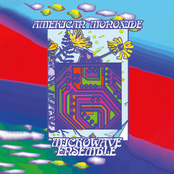 Microwave Ensemble