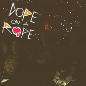 ЛысыйЖирный!