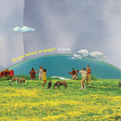 Do you believe in magic?