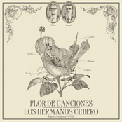 Flor de canciones