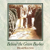 Behind the Green Bushes