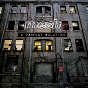 Want You by Mesh