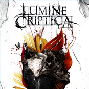 Echoes of a Night Mirage