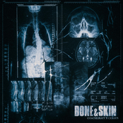 BONE&SKIN