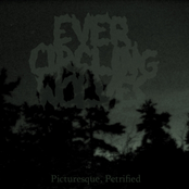 One Joyless Night by Ever Circling Wolves