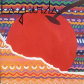 jamas me casaria con un pirata