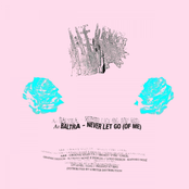 Baltra: Never Let Go (Of Me) [Sped Up + Slowed Remixes]