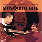 Masquito Bite