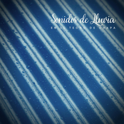 Sonidos de Lluvia en el Techo de Chapa