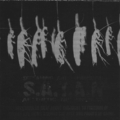 Spectacular Crap About the Right to Freedom of Speech and Views Against the Past and Proofs of Crime