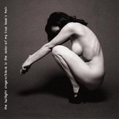 Domani by The Twilight Singers