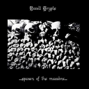 ...Spawn of the Macabre...