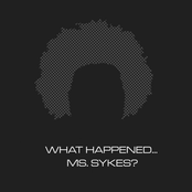 Wanda Sykes: What Happened... Ms. Sykes?