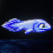 mannfishh