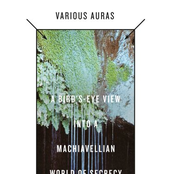 A Bird's Eye View Into A Machiavellian World Of Secrecy