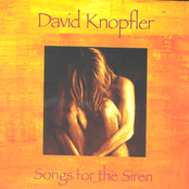 The Love Of Your Life by David Knopfler