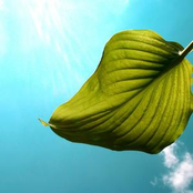 Desktopography 2009 Feature Track