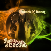 Goodbye Illusion by Shagadelic Groove