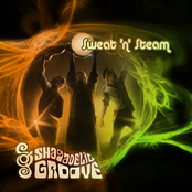 Mojo Juice by Shagadelic Groove