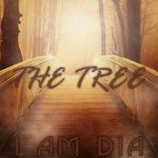 THE TREE