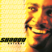 Shaggy: Hot Shot (International Version #2)