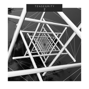 Tensegrity 2