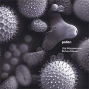 Pollen