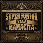Too Many Beautiful Girls by Super Junior
