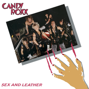 Sex And Leather