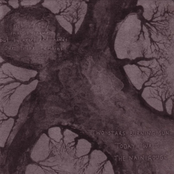 Not By Face, Not By Name, But By Heart and Hands Our Tribe Remains