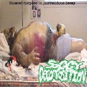 Bloated Corpse In Horrendous Decay